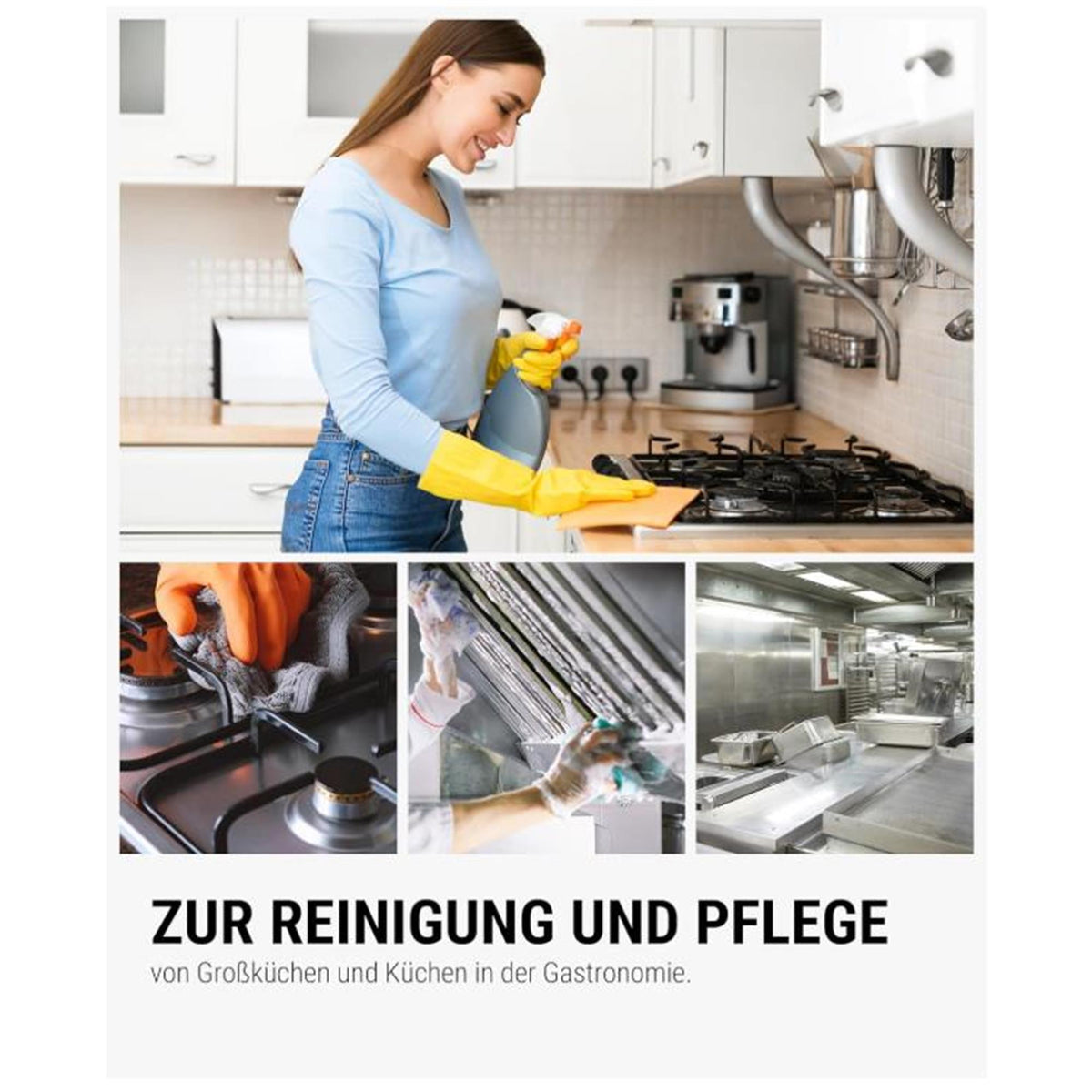 Lorito Wischstar frisch sauber Fettlöser Sprühkopf