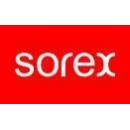 Sorex