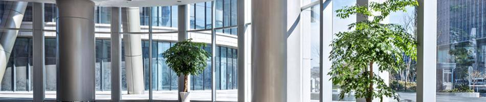 Richtige Fensterreinigung für glasklaren...