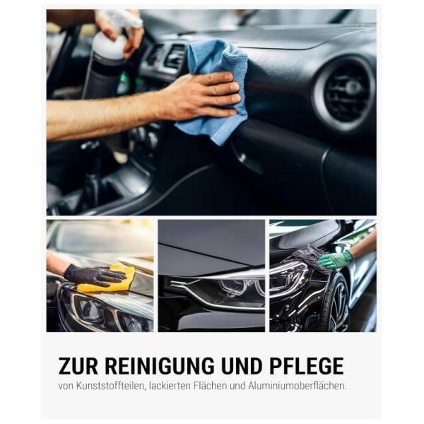Lorito ALL IN ONE Fahrzeugreiniger innen aussen 5 Liter
