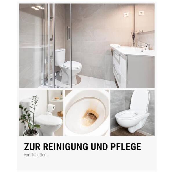 Lorito Urinsteinentferner 343 1 Liter