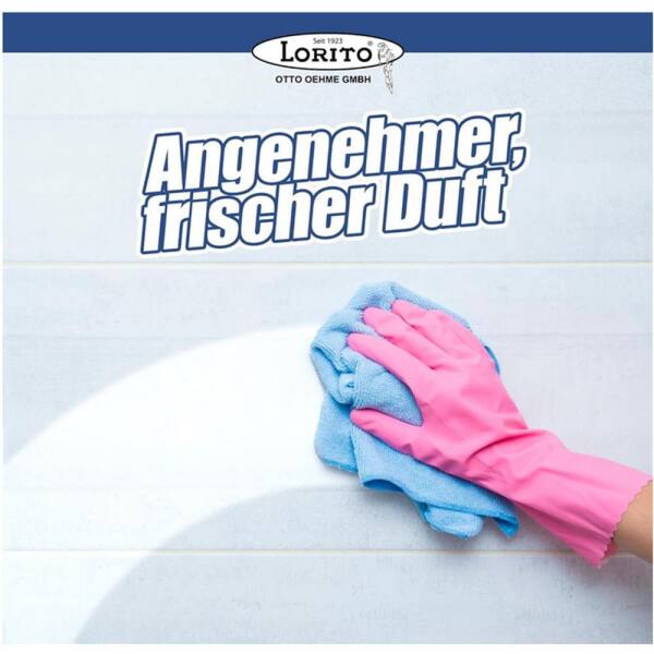 frisch & sauber Allzweckreiniger 1 Liter