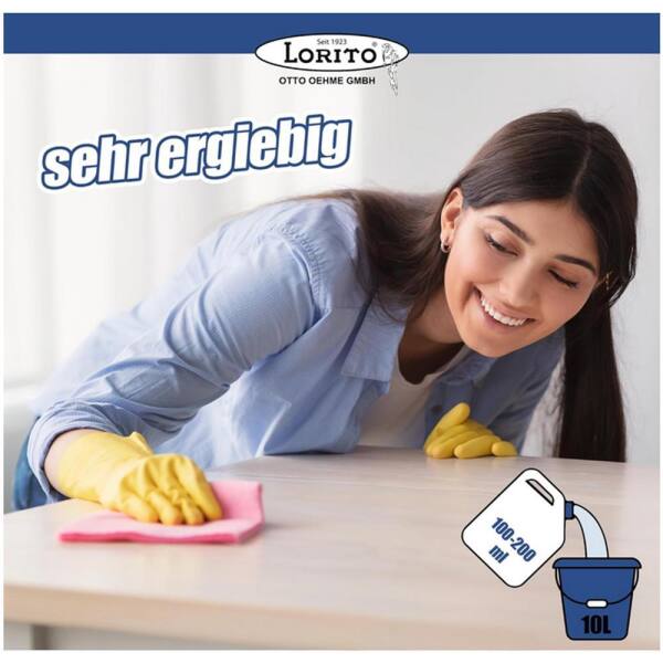 frisch & sauber Allzweckreiniger 10 Liter
