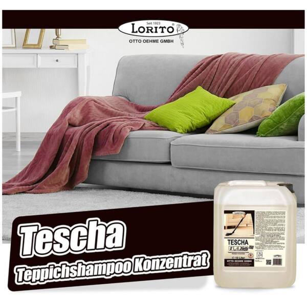 LoritoTeppichshampoo Fleckentferner Tescha 255 10 Liter