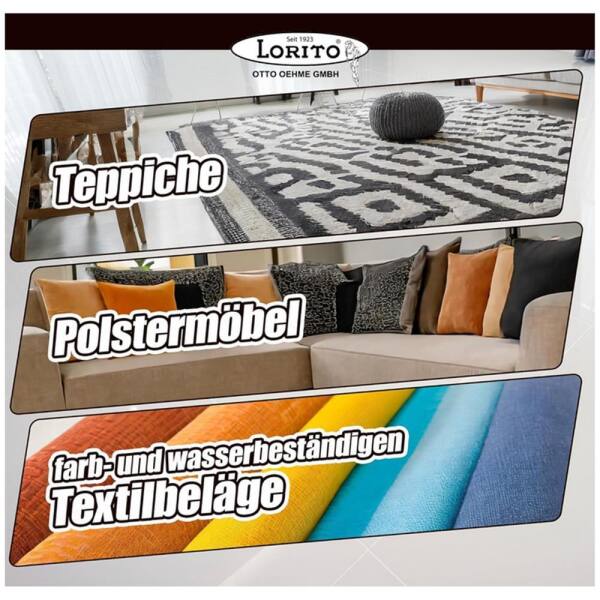 LoritoTeppichshampoo Fleckentferner Tescha 255 10 Liter