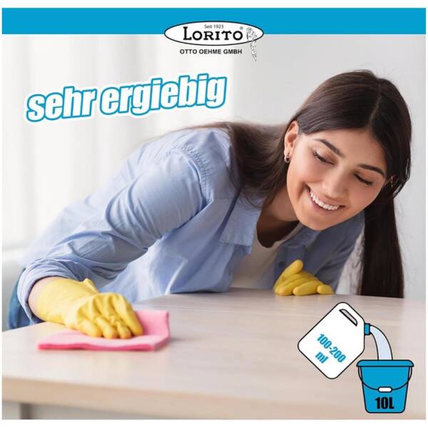 frisch und sauber Fensterreiniger Glasreiniger 10 Liter