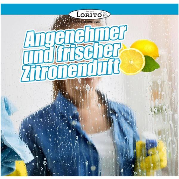 frisch und sauber Fensterreiniger Glasreiniger 10 Liter
