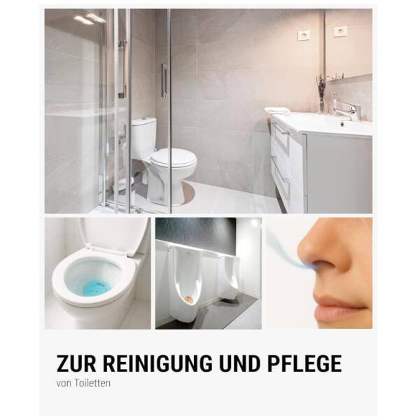 Wisch-Star Urinalsieb WC-Duftspüler Urinaleinlage Pissoireinlage Ocean